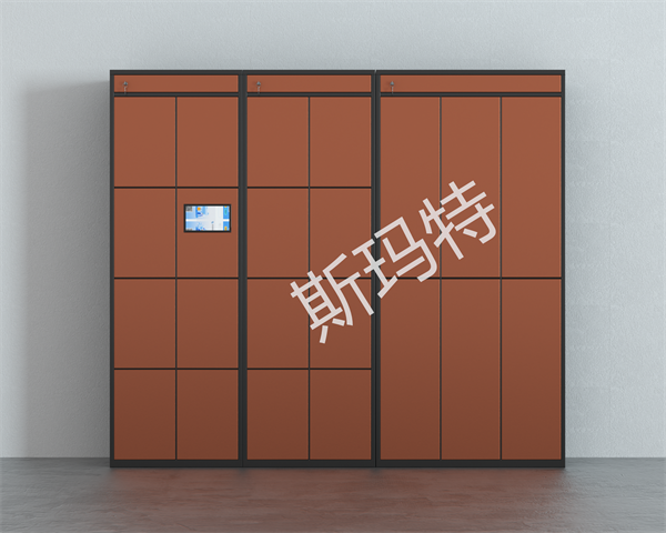 智能存包柜 定制款